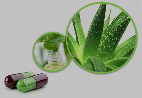 Aloe Vera Beadlets